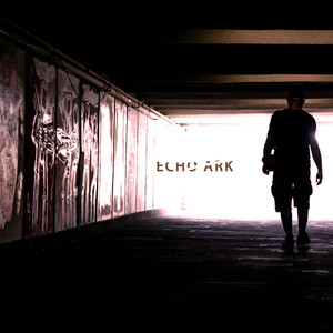 Ark cover