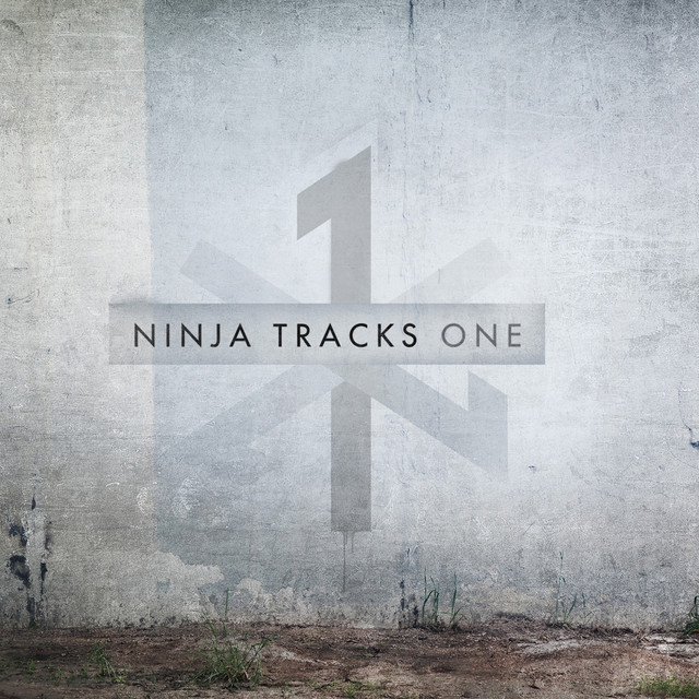 Ninja Tracks Photo