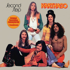 Pacemaker cover