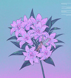 tofubeats profile