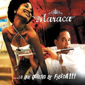 Lo que quiero es Fiesta cover