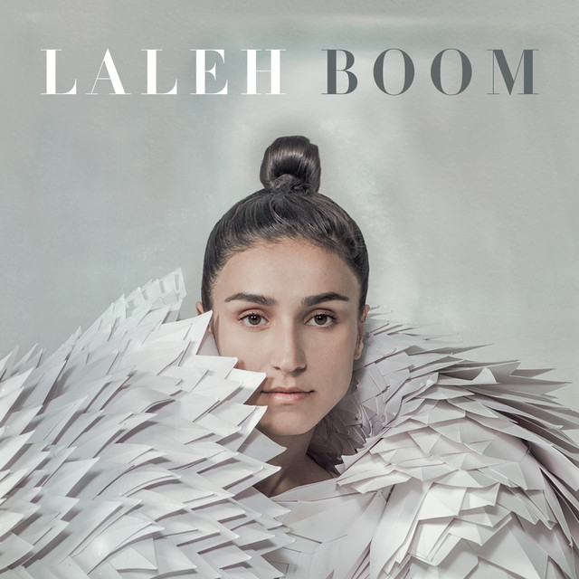 Boom cover