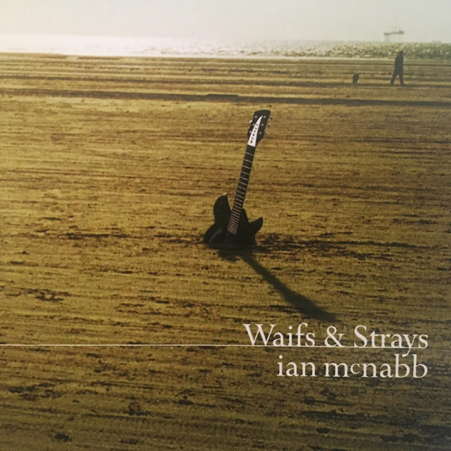 Waifs And Strays cover
