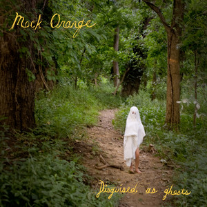 Disguised as Ghosts cover