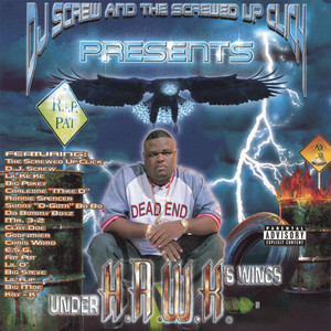Under H.A.W.K.'s Wings album