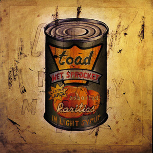 In Light Syrup album