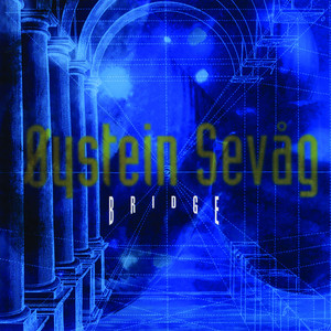 Bridge cover