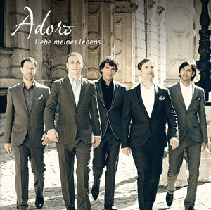 Liebe meines Lebens album