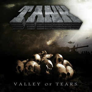 Valley of Tears cover