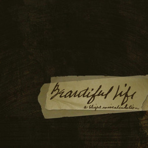 Beautiful Life album
