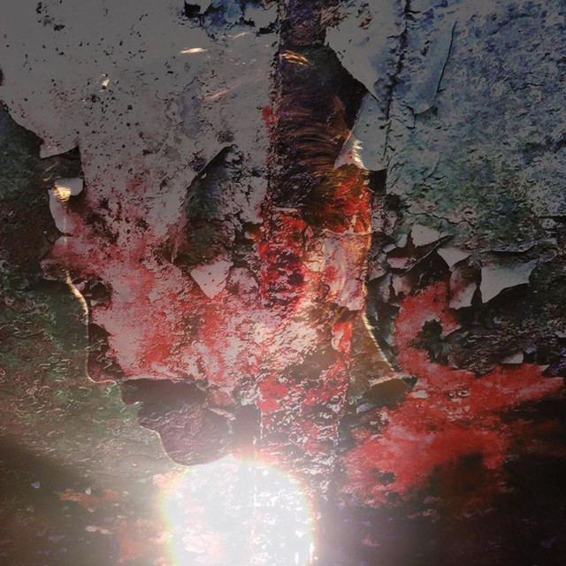 Veins cover