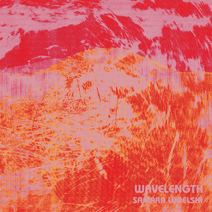 Wavelength cover