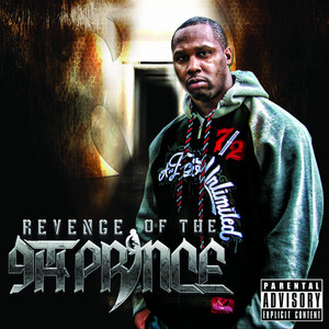 Revenge of the 9th Prince cover