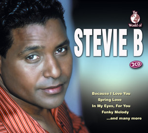 Stevie B cover