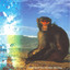 Calming of the Drunken Monkey cover