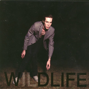 Wildlife album