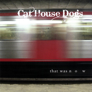 Cat House Dogs