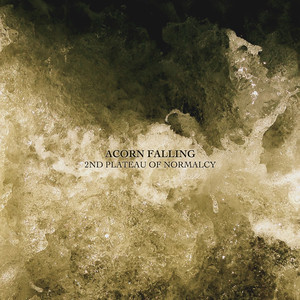 Acorn Falling