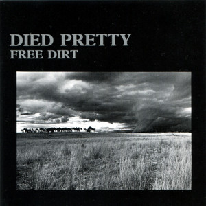 Free Dirt cover
