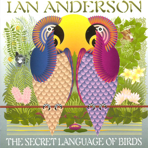 The Secret Language of Birds album
