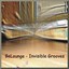 Invisible Grooves Albumcover