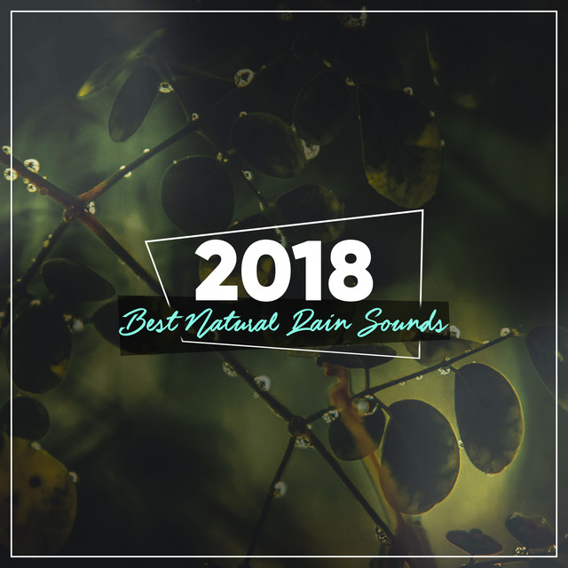 2018 Rain for Deep Sleep Collection - Soothing, Harmonic Raindrops