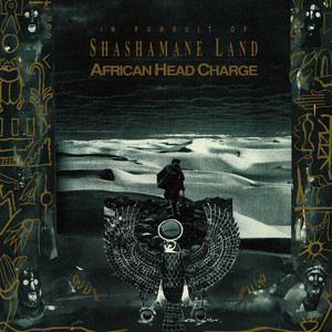 In Pursuit of Shashamane Land cover