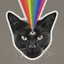 Black Cat cover