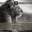 The Lion Albumcover