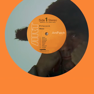 Pillycock cover