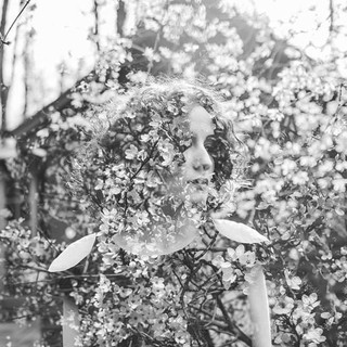 Serena Abrami Photo