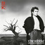 The Riddle (Expanded Edition) cover