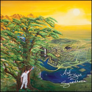 Synesthesia Albumcover