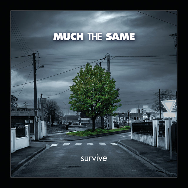 Survive cover