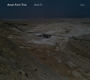 Anat Fort Trio