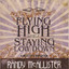Flying High While Staying Low Down Albumcover