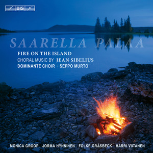 Saarella palaa (Fire on the Island) cover