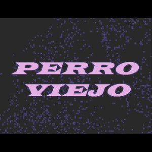 Perro Viejo
