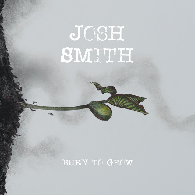 Burn To Grow cover