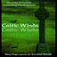Celtic Winds (New Hope from an Ancient Sound) [feat. David Baroni] Albumcover