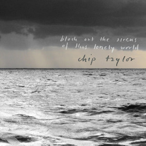 Block Out the Sirens of This Lonely World cover