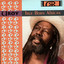 True Born African cover