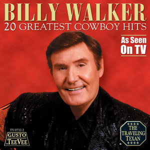 20 Greatest Cowboy Hits album