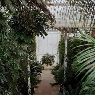 Dmitry Evgrafov photo