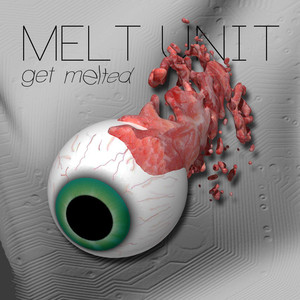 Melt Unit Photo