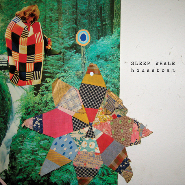 Sleep Whale Photo