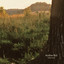 Noble Beast cover
