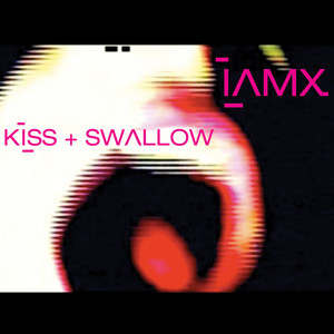 Kiss + Swallow album
