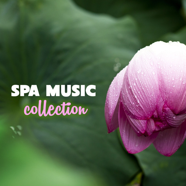 Best 30 Relaxing Spa Music Collection Albumcover