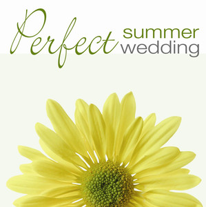 Perfect Summer Wedding album